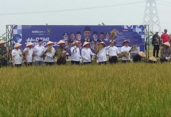 Panen raya padi di Kabupaten Ngawi