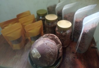 Pemanis sehat dari gula lontar