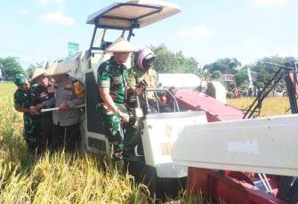 Dandim 0805/Ngawi Letkol Arh Setu Wibowo saat panen raya padi serentak, Senin (7/4)