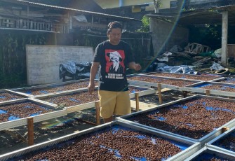 Ahrian Festyananda Saat Mengecek Biji Kopi Kabupaten Blitar yang Akan Ia Kirim Kompetisi Tingkat Nasional (Foto : Faisal NR / Klikwarta.com)
