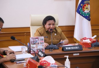Wakil Menteri Dalam Negeri (Wamendagri) Ribka Haluk