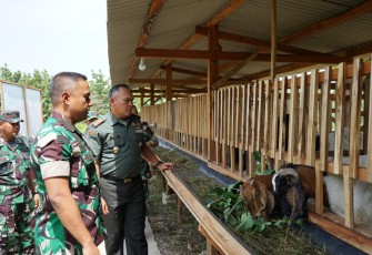 Pilot Project Ketahanan Pangan Terpadu