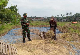 Bantu panen padi warga binaan