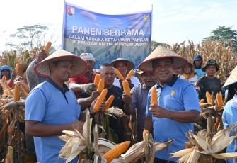 Lanud Soewondo Komitmen Dukung Ketahanan Pangan Melalui Panen Raya 