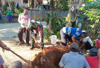 Penyembelihan hewan qurban di wilayah desa binaan 