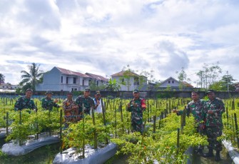 Dandim 1710/Mimika Tinjau Ketahanan Pangan Di Lahan Percontohan Petani Binaan