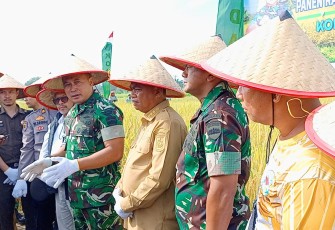 Panglima Kodam I/Bukit Barisan (Pangdam I/BB) Mayjen TNI Rio Firdianto menghadiri kegiatan Panen Raya Padi Legowo Super Sinar Mentari (LS2M) di Desa Kota Galuh, Kecamatan Perbaungan, Kabupaten Serdang Bedagai, Sumatera Utara, Senin (23/6/2025)