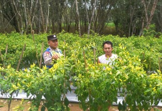 Personel Polsek Belitang III Laksanakan Pendampingan Pengecekan Lahan Warga