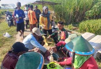 Babinsa Desa Buduran Bersama Perangkat Desa dan PPL Laksanakan Sosialisasi Pengendalian Hama