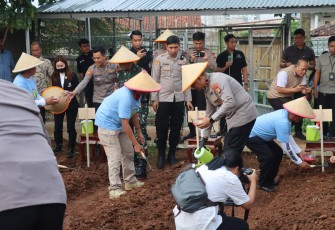 Polda Metro Jaya Tanam Jagung di Tangerang Selatan