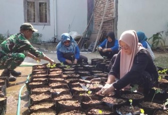 Babinsa Kodim Ponorogo Pendampingan Program Pangan Lestari