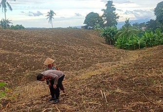 Polres Bitung Melaksanakan Penanaman Jagung 