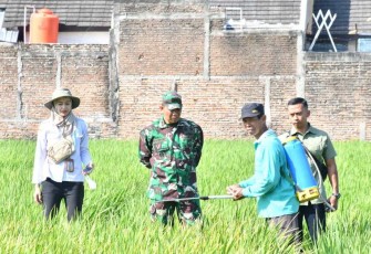Penyemprotan pestisida d lahan pertanian warga binaan 