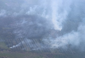 Karhutla yang Terjadi di Pekanbaru 