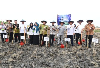 Di Blora Mendes Luncurkan GEMAR Gerakan Menanam Anti Rugi