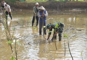 Tanam mangrove di pantai Balai Kambang Kabupaten Trenggalek 