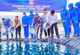 Lanal Bintan Bersama Pemkab Lakukan Penaburan Benih Udang Vaname