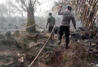 Warga dibantu pihak kepolisian berjibaku memadamkan kobaran api yang melalap lahan sawit milik warga di Desa Ketapang Indah, Kecamatan Singkil Utara, Ermi (51) hangus terbakar, Kamis, (18/9/2025)