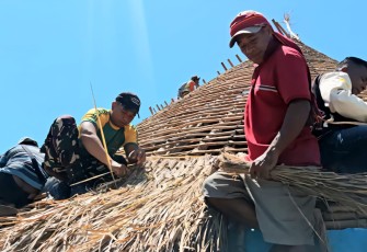 Pasang atap rumah adat suku Tala