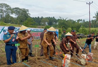 Kajati Sulut dengan di dampingi Kajari Bitung Bersama Wali Kota Bitung dan Wakil Walikota serta forkopimda Bitung saat melakukan penanaman bibit