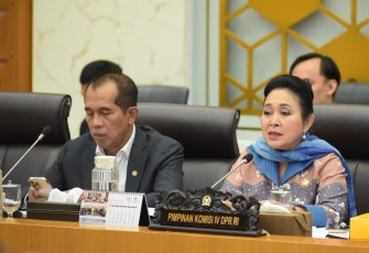 Ketua Komisi IV DPR RI, Siti Hediati Soeharto saat memimpin RDP dengan kepala Badan Karantina Indonesia pada Kamis (4/9/2025) di Senayan, Jakarta.
