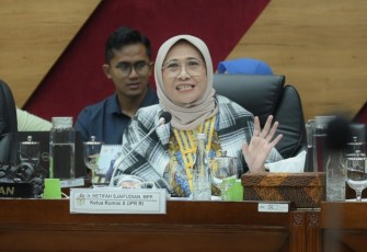 Ketua Komisi X DPR RI Hetifah Sjaifudian