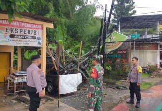 Babinsa Koramil 0806-01/Trenggalek, Serka Suprianto, bersama Bhabinkamtibmas dan BPBD Trenggalek dibantu warga sekitar langsung bergerak cepat mengevakuasi pohon yang tumbang.