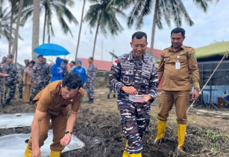 Penanaman bibit jagung jenis Bonanza F1 sebanyak 7200 bibit oleh Danlanal Ranai yang didampingi Kepala Dinas Pertanian Natuna, Bapak Wan Syazali.