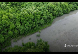 LindungiHutan Ajak Semua Pihak Tingkatkan Aksi Karbon Nyata di Hari Nol Emisi