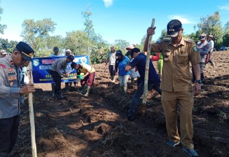 Pemdes Tangsi Duren Tanam Jagung Bersinergi TNI-Polri dan Pemkab Kepahiang
