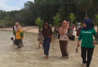 Perempuan Penjaga Pesisir: Mak Jah dan Teh Aas, Simbol Gerakan Hijau
