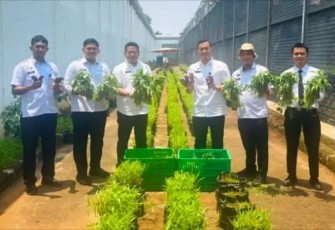 Kepala Rutan Kelas I Depok Agus Imam Taufik bersama warga binaan memanen kangkung dan terong di kebun binaan Rutan, Rabu (8/10/2025)