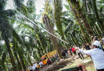 Wakil Menteri Transmigrasi Viva Yoga Mauladi mengatakan ia berkunjung untuk melihat secara langsung keberhasilan program transmigrasi.