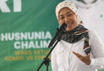 Wakil Ketua Komisi VII DPR RI Chusnunia Chalim