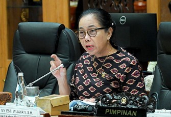 Wakil Ketua Komisi X DPR RI My Esti Wijayanti 