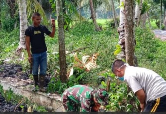 Jelang Penutupan TMMD, Satgas TMMD Ke-124 Kodim 0408/BS dan Warga Tetap Gotong Royong