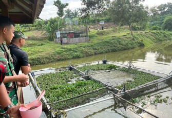 Yonif 141/AYJP menunjukkan komitmennya dalam mendukung kebijakan ketahanan pangan pemerintah serta turut serta dalam meningkatkan kesejahteraan dan kemandirian pangan di lingkungan satuan dan masyarakat sekitar.