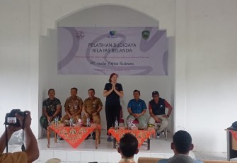 PT IAS dan Dinas Perikanan Kembangkan Budidaya Ikan Nila Tampa Hormon asal Belanda di Pasaman