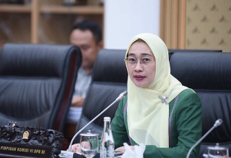 Ketua Komisi VI DPR RI Anggia Erma Rini