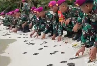 Satgas Pam Pulau Terluar ke-XXVIII Lepas Liarkan Tukik di Pulau Berhala 