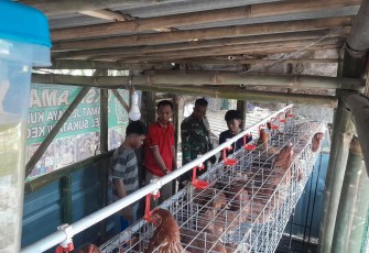 Korem 052/Wkr Ajari Anak Panti Asuhan Ternak Ayam