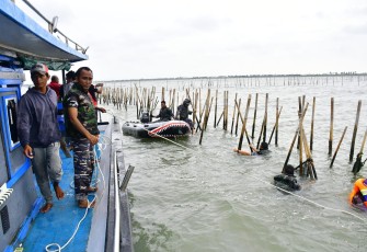 Proses pencabutan Pagar Laut Ilegal di Tangerang