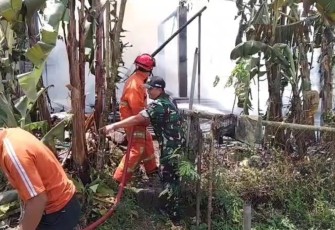 Babinsa dan Damkar Trenggalek Berjibaku Padamkan Api di Dapur Rumah Warga Kerjo
