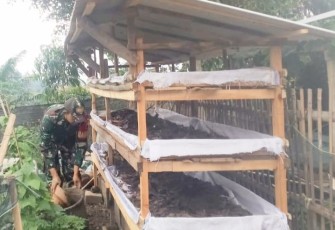 Serda Rohman Geluti Budidaya Cacing