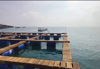 Balad Grup Siapkan 80 Ribu Keramba untuk 2 Miliar Ekor Lobster 
