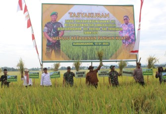 Panen Raya di Trenggalek