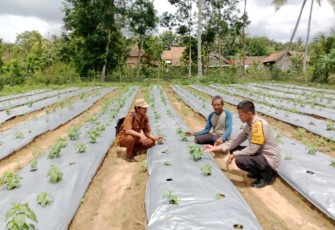 Bhabinkamtibmas Polsek Belitang III Laksanakan Pendampingan Pengecekan Lahan Warga