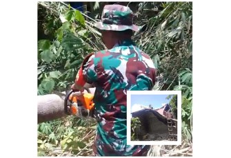 Babinsa Kelurahan Tanjung Merah saat melakukan pemotongan pohon kelapa yang menimpa rumah warga