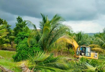 BP Batam menegaskan bahwa penertiban lahan warga di Tanjung Banon, yang berlangsung Jumat (2/5/2025), telah sesuai prosedur hukum dan administratif yang berlaku