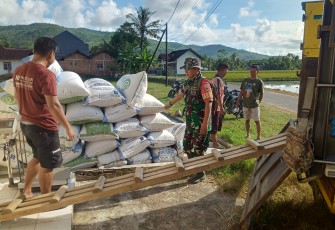 TNI Bersama Bulog Serap 21,3 Ton Gabah Petani di Pacitan